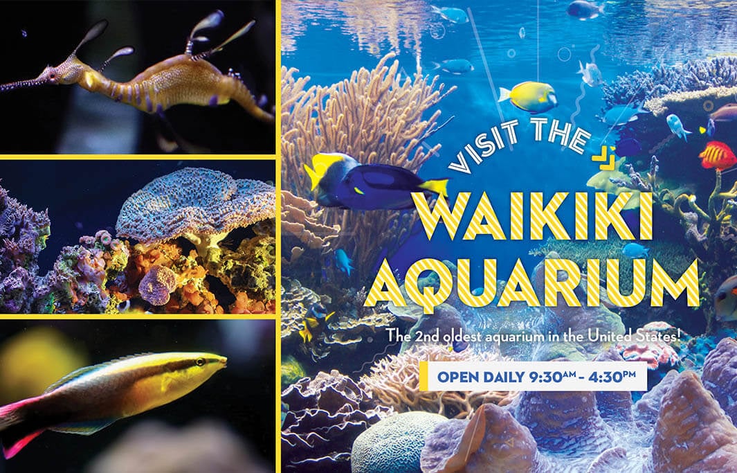 Waikiki Aquarium of Honolulu, Hawaii Hotel